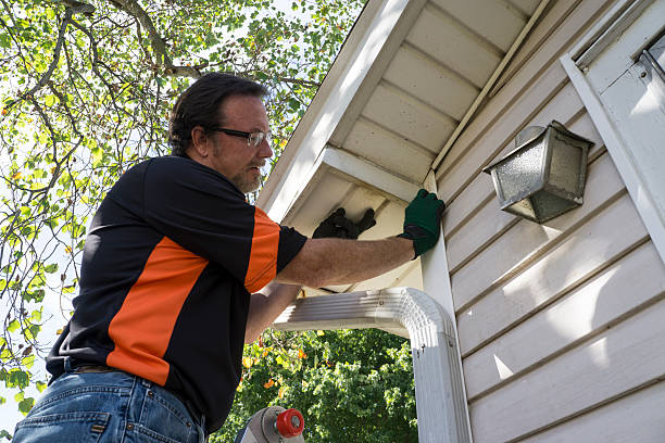 Best Fiber Cement Siding Installation  in Lemon Grove, CA